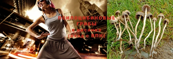 Альфа ПВП Михайлов