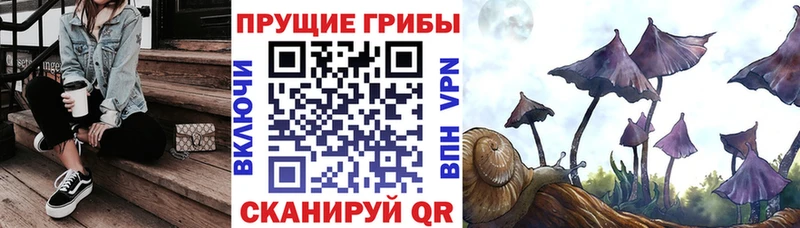 Псилоцибиновые грибы прущие грибы  Чернушка 