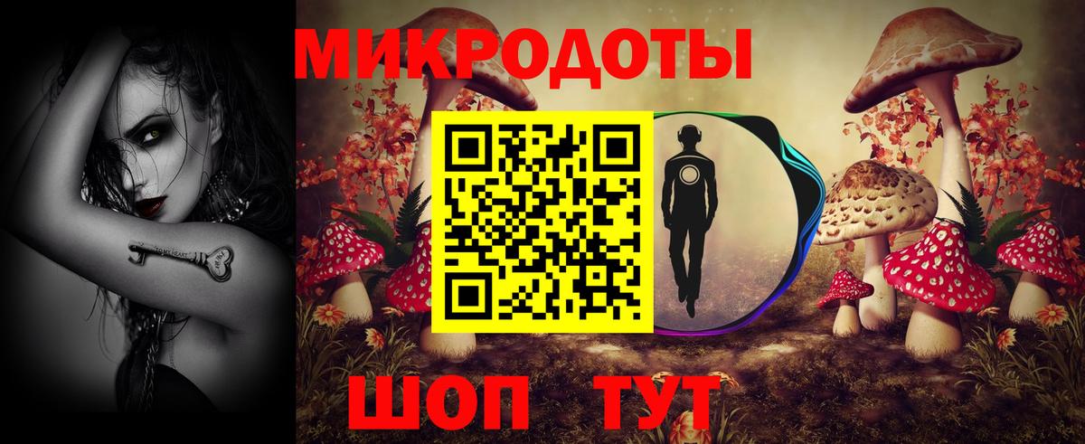 Галлюциногенные грибы мицелий  Чернушка 