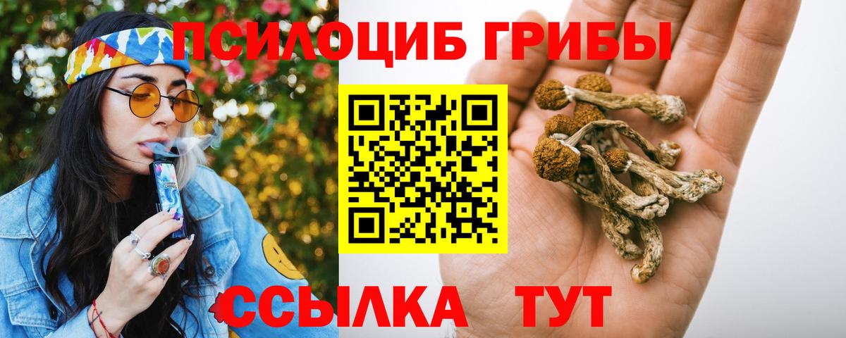 Псилоцибиновые грибы Magic Shrooms Чернушка