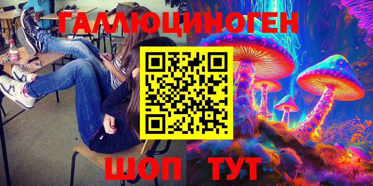 Чернушка  Псилоцибиновые грибы мицелий  Вход с VPN 