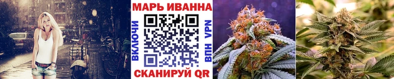 Конопля MAZAR  Чернушка 